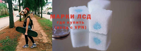 spice Богданович