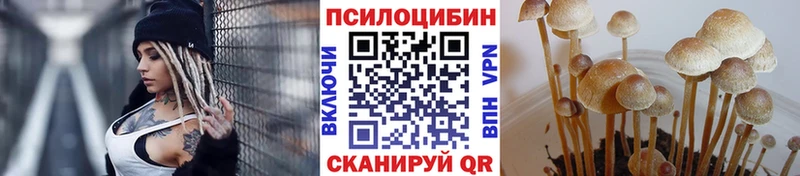 MEGA tor  Верхняя Пышма  Галлюциногенные грибы GOLDEN TEACHER  цена наркотик 